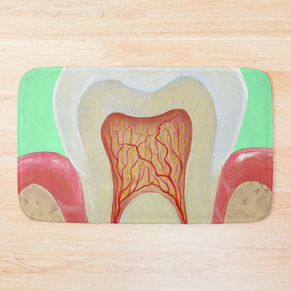 Item preview, Medical illustration Tooth Anatomy  designed and sold by Deathoftheself.