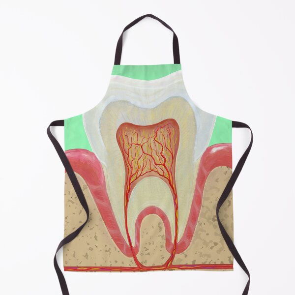 Item preview, Medical illustration Tooth Anatomy designed and sold by Deathoftheself.