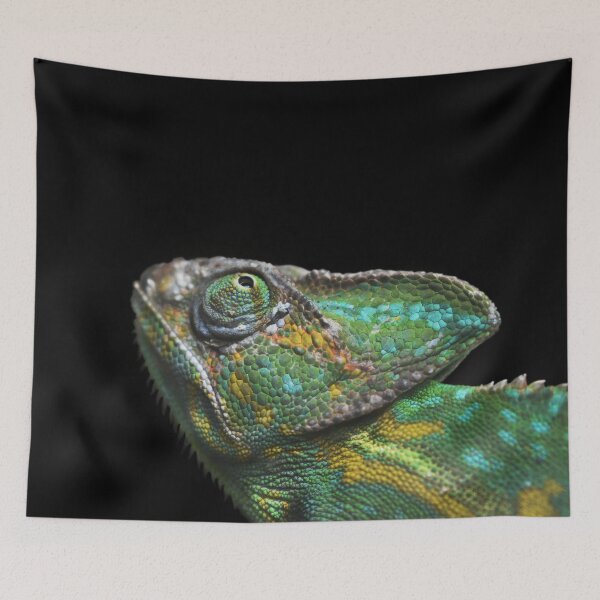 Item preview, Curious Chameleon  designed and sold by Gabriella Flores.