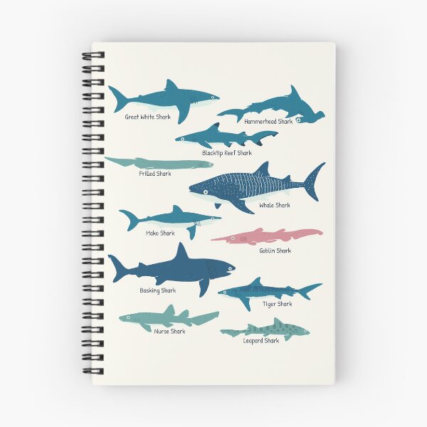 Item preview, Types Of Sharks Educational Collection Marine Biology Gifts designed and sold by JokeGysen.