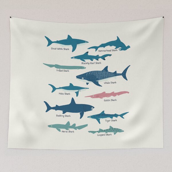 Item preview, Types Of Sharks Educational Collection Marine Biology Gifts designed and sold by JokeGysen.