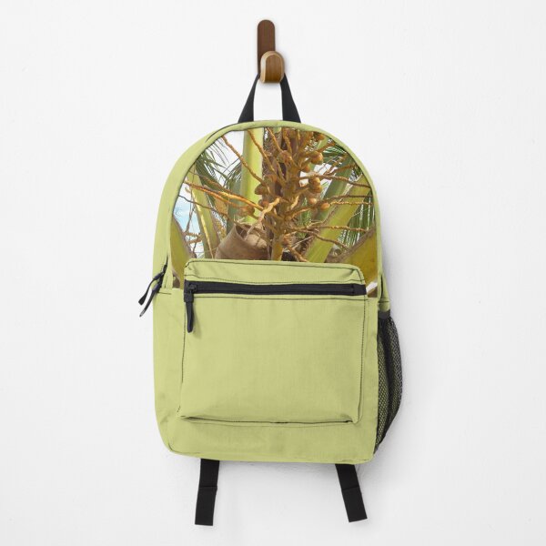 Item preview, Coconut Tree Detail, little coocnuts growing, Brazil designed and sold by worldways.