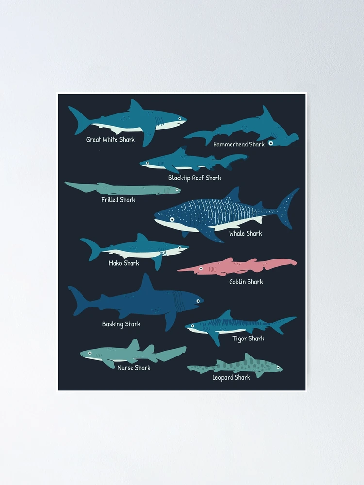 Shark Tank Posters by Marianna Lyubskaya