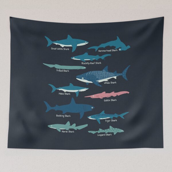 Item preview, Types Of Sharks Educational Collection Marine Biology Gifts designed and sold by JokeGysen.