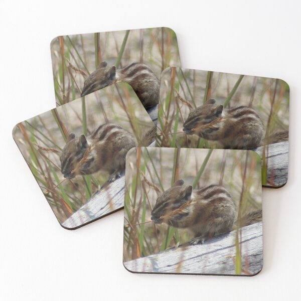 Item preview, Chipmunk designed and sold by Marije Kouyzer.
