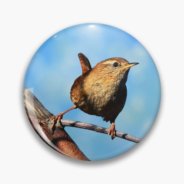 Item preview, Eurasian wren - Troglodytes troglodytes designed and sold by Hajakely.