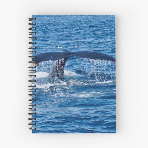 Item preview, Whale Tail designed and sold by sara-cabelly.