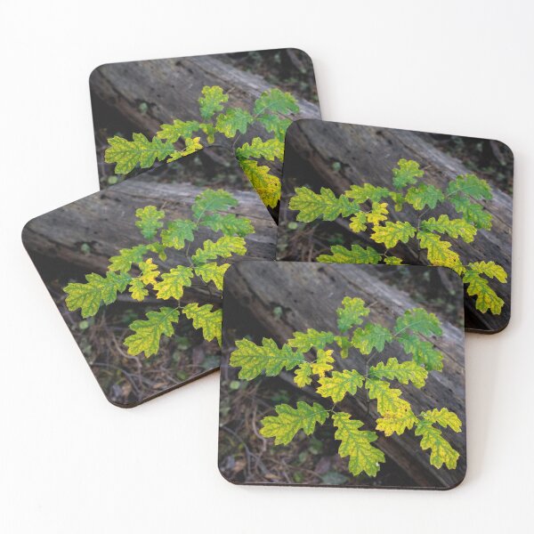 Item preview, Autumn is on its Way designed and sold by Simply Sierra Style.