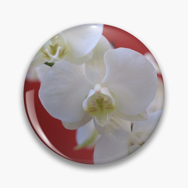 Item preview, White orchid symbol of innocent, parity.  designed and sold by KimhengFineArt.