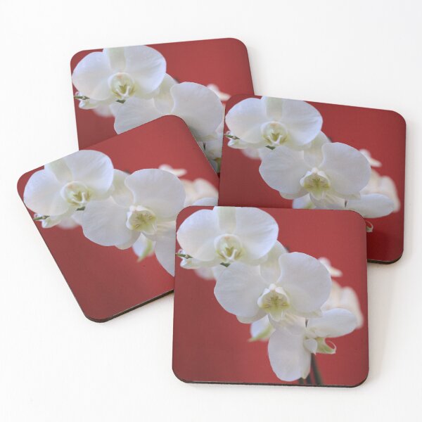 Item preview, White orchid symbol of innocent, parity.  designed and sold by KimhengFineArt.