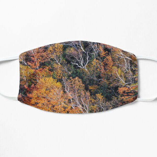 Thatcher Park Late Fall Flat Mask