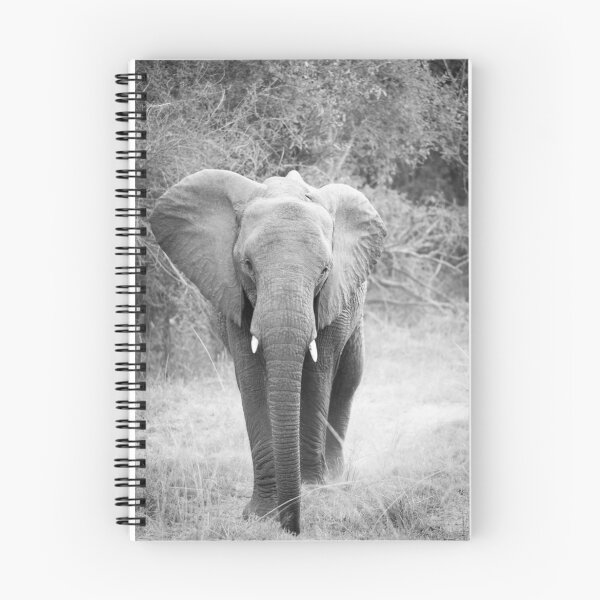 Item preview, Black and white elephant designed and sold by Dan Edwards.