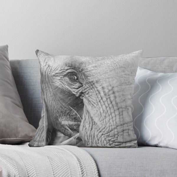 Item preview, close up of an elephant eating designed and sold by Dan Edwards.