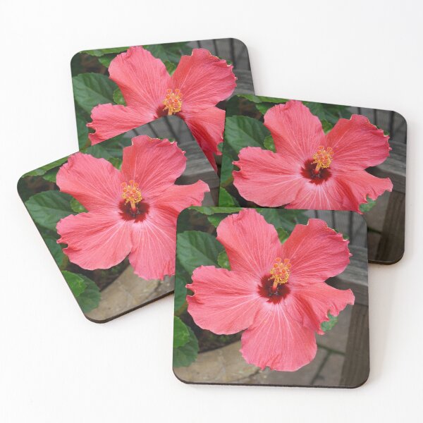 Item preview, Hibiscus Flower designed and sold by sara-cabelly.