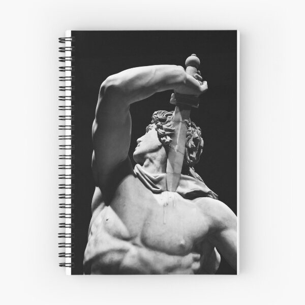 Item preview, Ludovisi Gaul Killing Himself and His Wife designed and sold by iReptile.