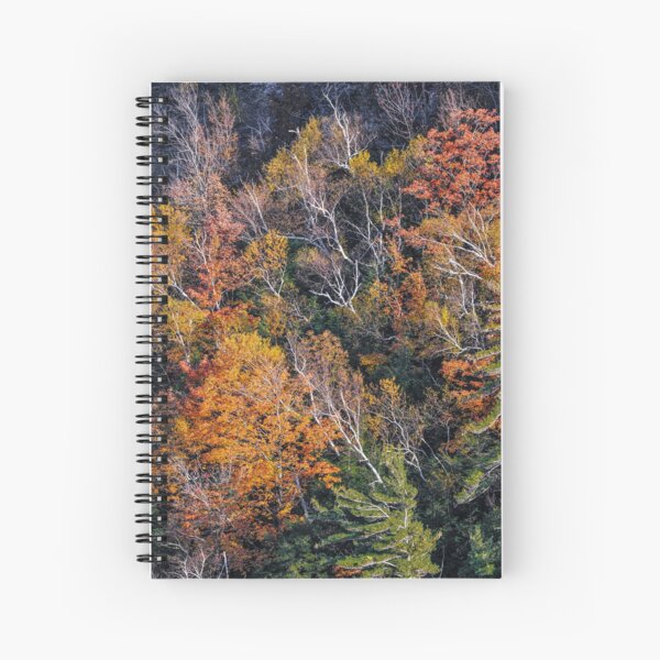 Thatcher Park Late Fall Spiral Notebook
