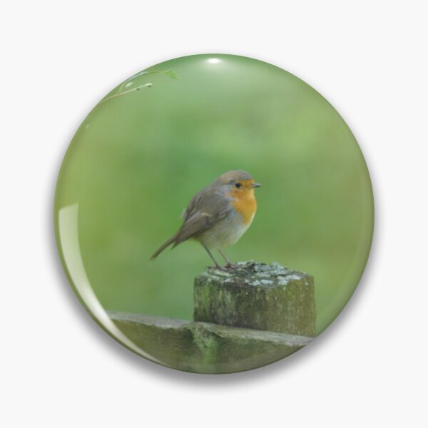 Item preview, Red Robin designed and sold by Izzy83.