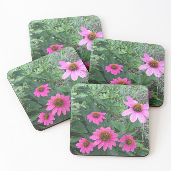 Item preview, Cone flower power designed and sold by foggynotion.