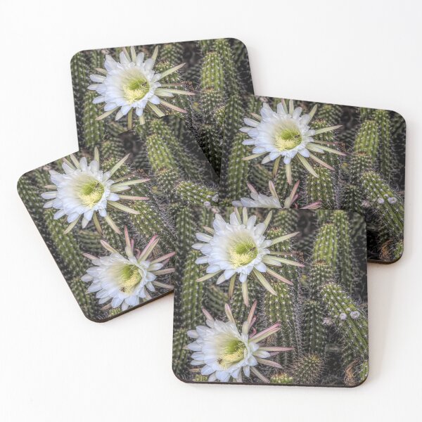Item preview, Snake Cactus Flowers designed and sold by Elisabeth Lucas.