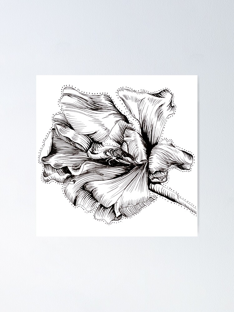 Black and white flower drawn with fineliner lineart nature