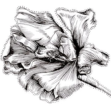 Black and white flower drawn with fineliner lineart nature Photographic  Print
