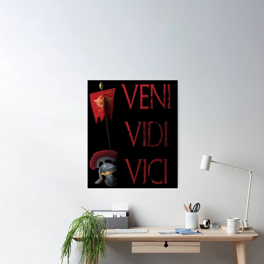 Veni Vidi Vici – Bog Road Designs