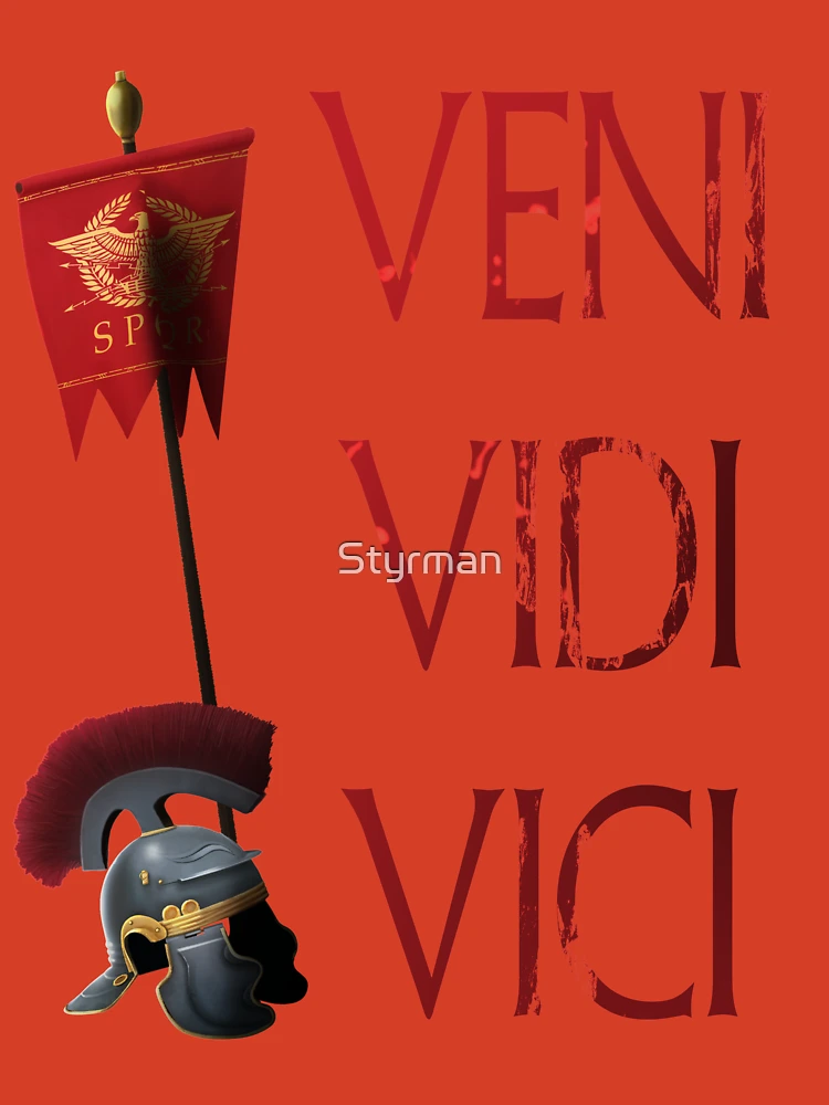 Veni, Vidi Vici - Cavalry Commander Child - quickmeme