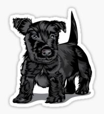 Cute Schnoodle dog Sticker