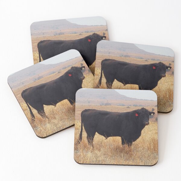 Item preview, Black Angus Steer Grazing with its Herd designed and sold by Jared Davies.