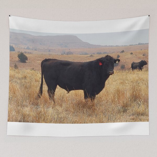 Item preview, Black Angus Steer Grazing with its Herd designed and sold by Jared Davies.