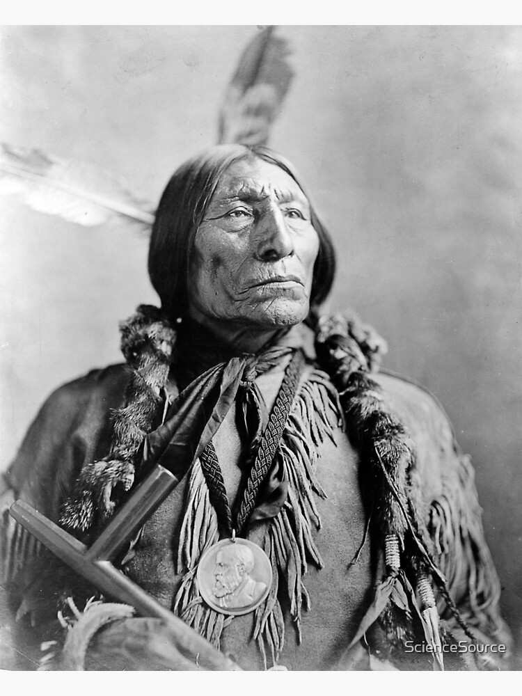 Disover Wolf Robe, Cheyenne Native American Indian Chief Premium Matte Vertical Poster