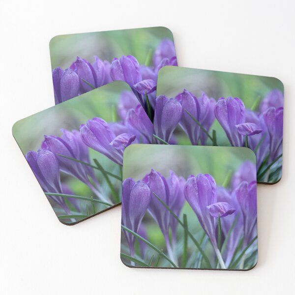 Item preview, Crocuses. designed and sold by John Ray.