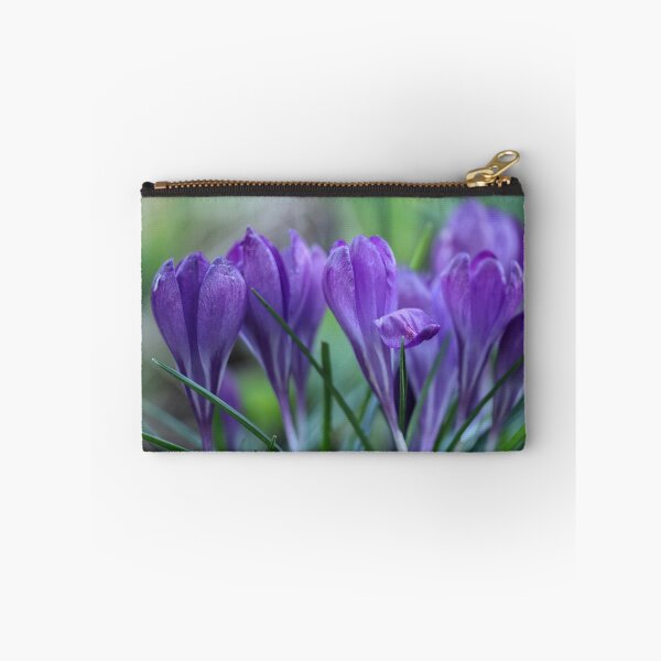 Item preview, Crocuses. designed and sold by John Ray.