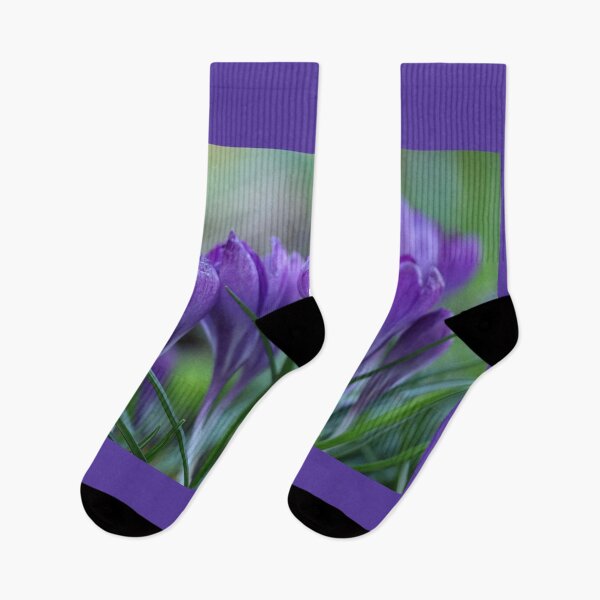 Item preview, Crocuses. designed and sold by John Ray.