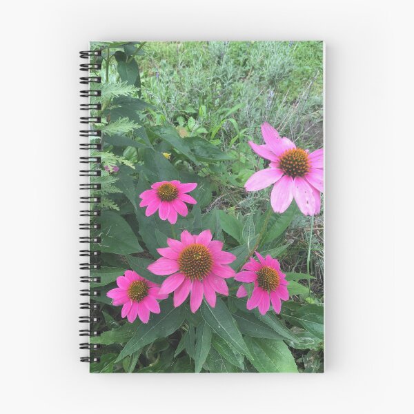 Item preview, Cone flower power designed and sold by foggynotion.