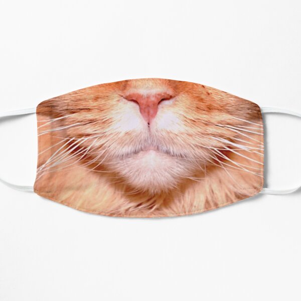 Cool cat Funny mascarilla como regalo Mascarilla plana