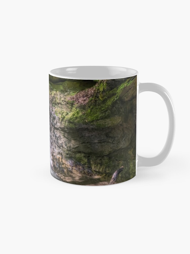 "The Punch Bowl at Turkey Run State Park, Indiana" Mug by