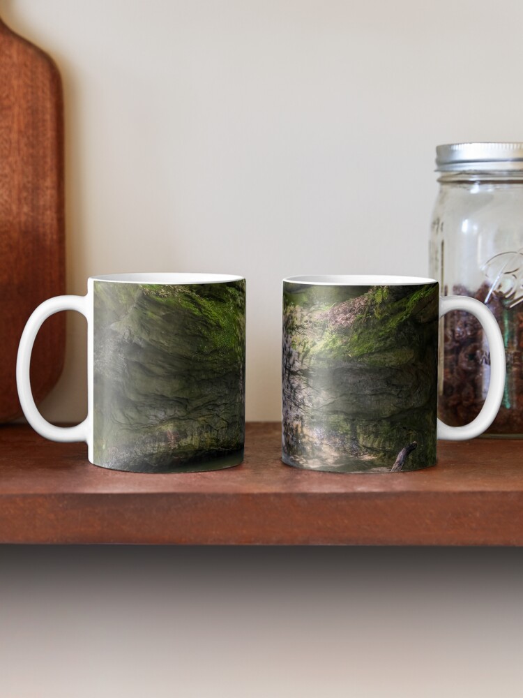 "The Punch Bowl at Turkey Run State Park, Indiana" Mug by