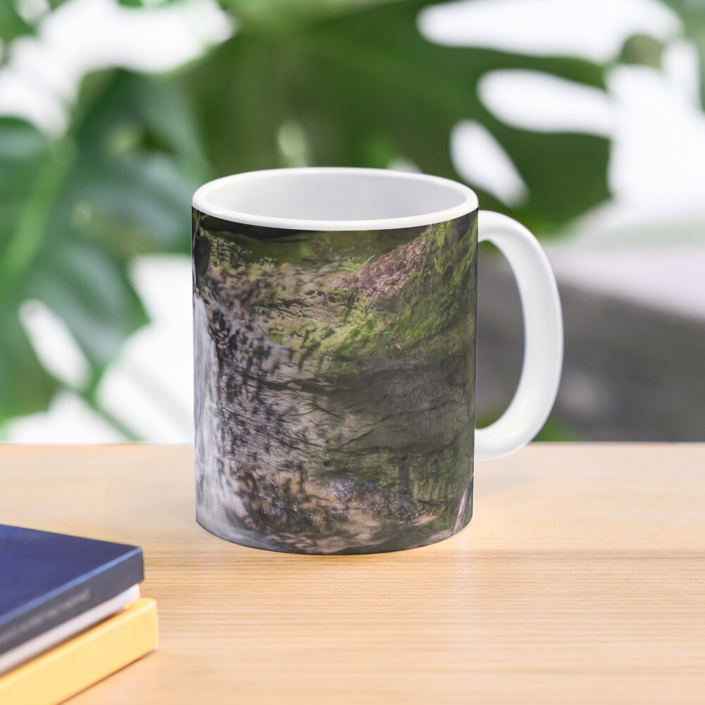 "The Punch Bowl at Turkey Run State Park, Indiana" Mug by