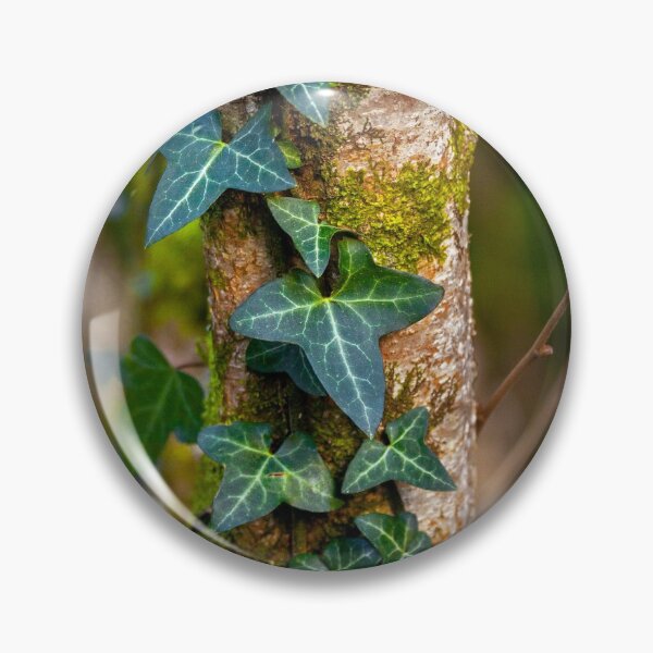 Item preview, English Ivy Tree Hugger Pin Badge designed and sold by Tony-Bedford.