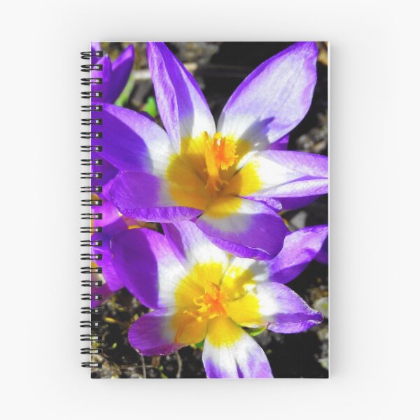 Item preview, Purple crocuses designed and sold by fowons.