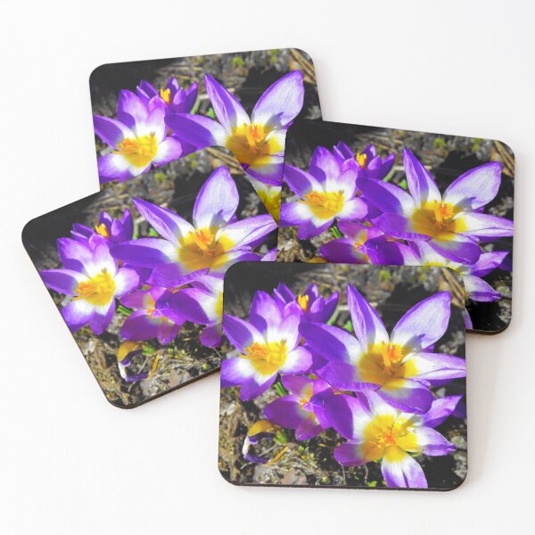 Item preview, Purple crocuses designed and sold by fowons.