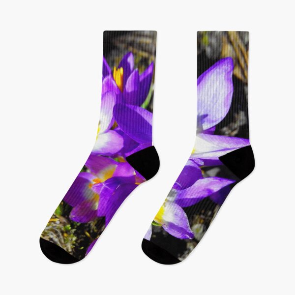 Item preview, Purple crocuses designed and sold by fowons.