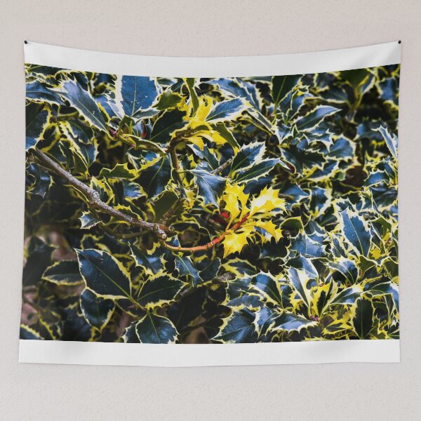 Item preview, Argentea Marginata designed and sold by SzendeB.