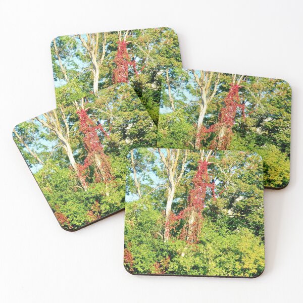 Item preview, Dead tree with creepers designed and sold by Shulie1.