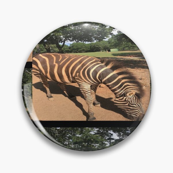 Item preview, Zebra Animal Grazing at Wild Exotic Animal Safari Park Pine Mountain Georgia Forest Background designed and sold by NadeenInspires.