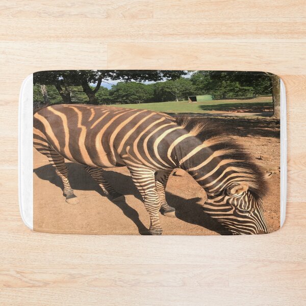 Item preview, Zebra Animal Grazing at Wild Exotic Animal Safari Park Pine Mountain Georgia Forest Background designed and sold by NadeenInspires.