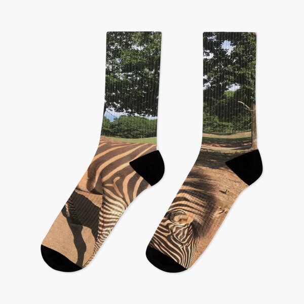 Item preview, Zebra Animal Grazing at Wild Exotic Animal Safari Park Pine Mountain Georgia Forest Background designed and sold by NadeenInspires.