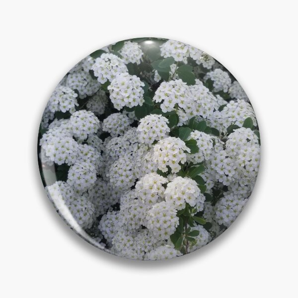 Item preview, White Flowers designed and sold by gailmariekern.