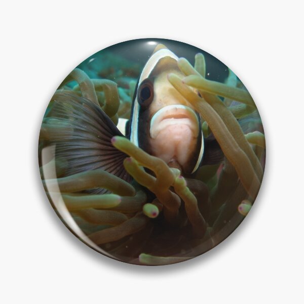 Item preview, Clownfish Clowning Around designed and sold by Adnoartina.